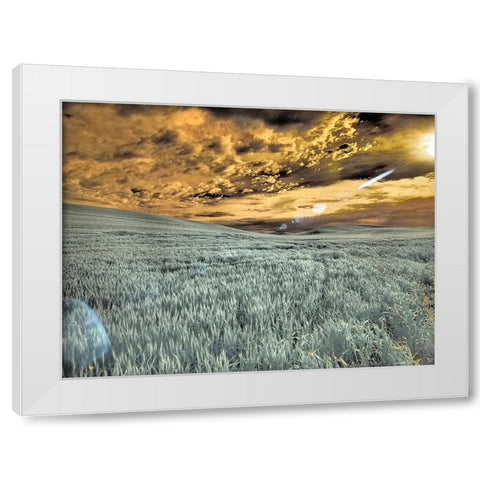 USA-Washington State-Palouse-wheat field and clouds White Modern Wood Framed Art Print by Eggers, Terry
