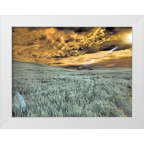 USA-Washington State-Palouse-wheat field and clouds White Modern Wood Framed Art Print by Eggers, Terry