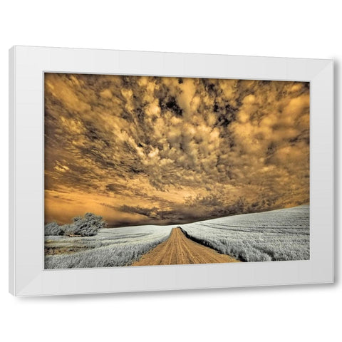 USA-Washington State-Palouse-Backcountry road through wheat field and clouds White Modern Wood Framed Art Print by Eggers, Terry