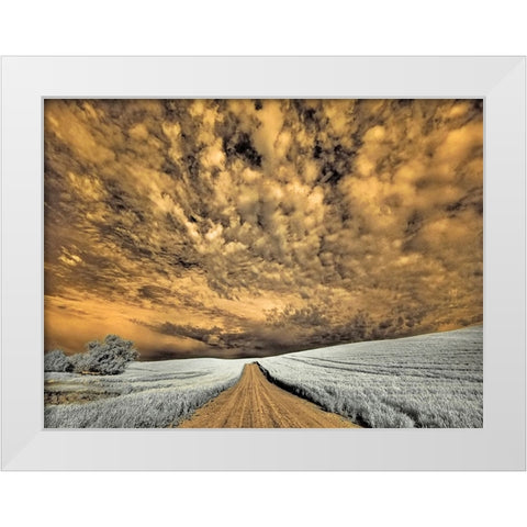 USA-Washington State-Palouse-Backcountry road through wheat field and clouds White Modern Wood Framed Art Print by Eggers, Terry