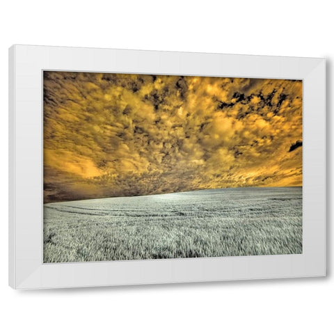 USA-Washington State-Palouse-wheat field and clouds White Modern Wood Framed Art Print by Eggers, Terry