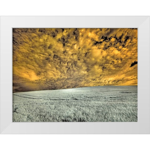 USA-Washington State-Palouse-wheat field and clouds White Modern Wood Framed Art Print by Eggers, Terry
