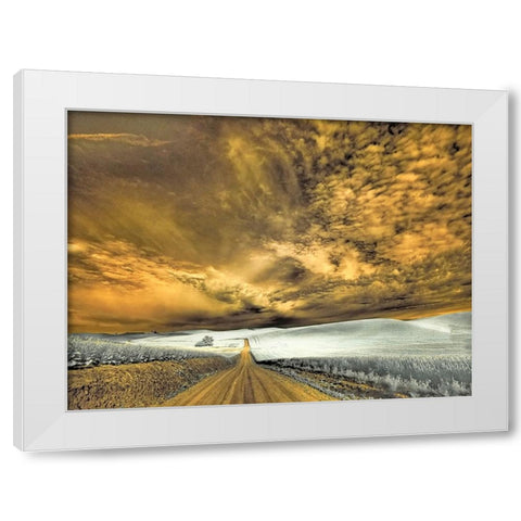 USA-Washington State-Palouse-Backcountry road through wheat field and clouds White Modern Wood Framed Art Print by Eggers, Terry
