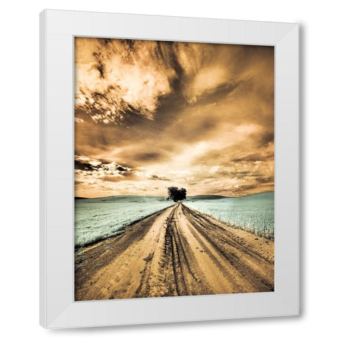 USA-Washington State-Palouse-Backcountry road through wheat field with lone tree and clouds White Modern Wood Framed Art Print by Eggers, Terry