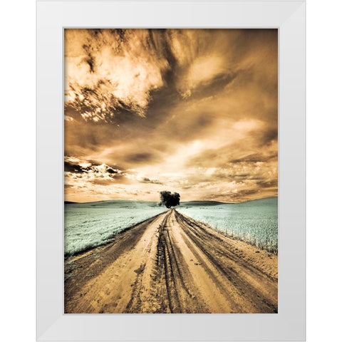 USA-Washington State-Palouse-Backcountry road through wheat field with lone tree and clouds White Modern Wood Framed Art Print by Eggers, Terry