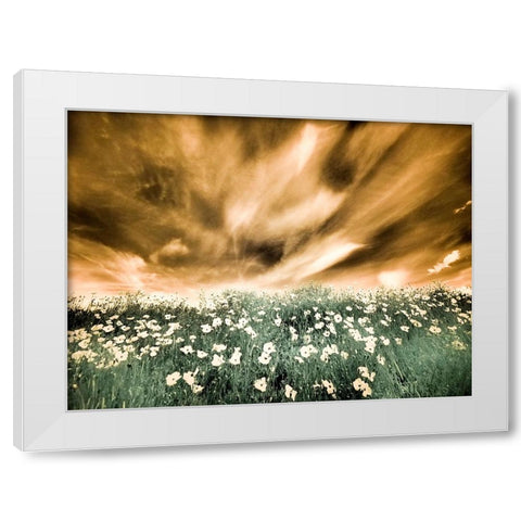 USA-Washington State-Palouse-Spring Poppies and Backcountry road through wheat field and clouds White Modern Wood Framed Art Print by Eggers, Terry
