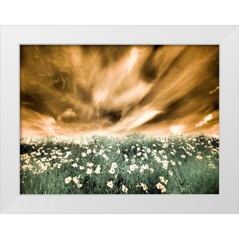 USA-Washington State-Palouse-Spring Poppies and Backcountry road through wheat field and clouds White Modern Wood Framed Art Print by Eggers, Terry