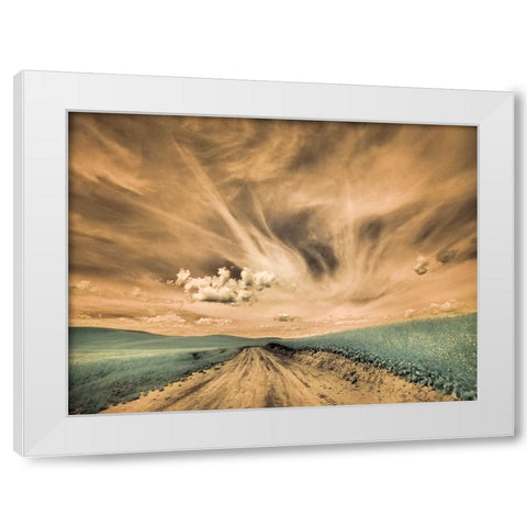 USA-Washington State-Palouse-Backcountry road through canola field and clouds White Modern Wood Framed Art Print by Eggers, Terry