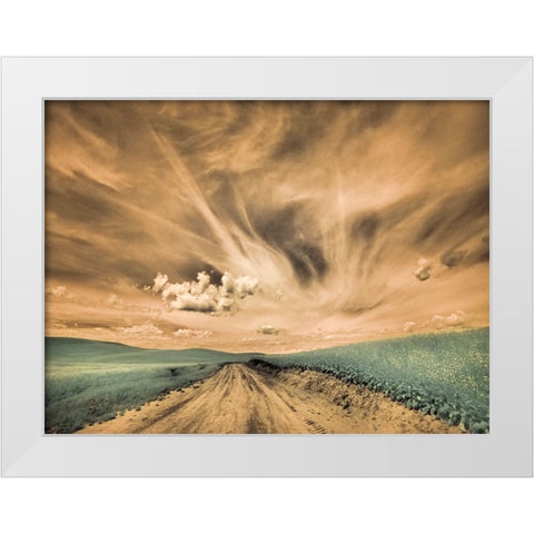 USA-Washington State-Palouse-Backcountry road through canola field and clouds White Modern Wood Framed Art Print by Eggers, Terry