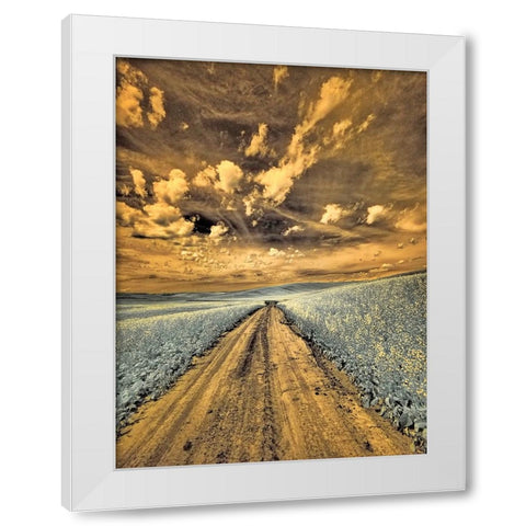USA-Washington State-Palouse-Backcountry road through canola field and clouds White Modern Wood Framed Art Print by Eggers, Terry