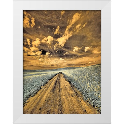 USA-Washington State-Palouse-Backcountry road through canola field and clouds White Modern Wood Framed Art Print by Eggers, Terry
