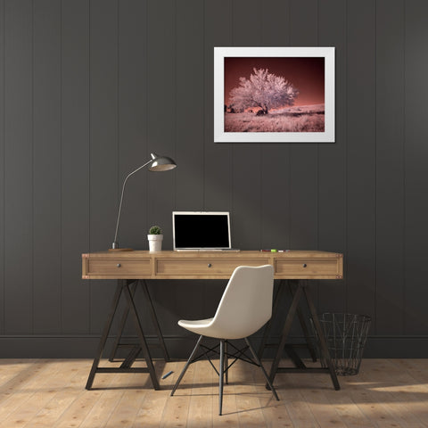 USA-Washington State-Palouse region-Lone tree in Field White Modern Wood Framed Art Print by Eggers, Terry