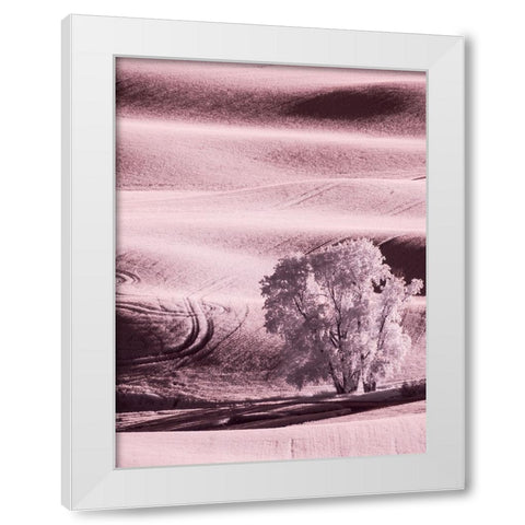 USA-Washington State-Palouse region-Lone tree in Field White Modern Wood Framed Art Print by Eggers, Terry