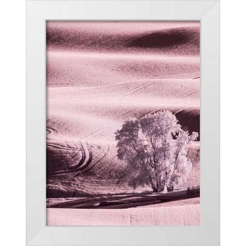 USA-Washington State-Palouse region-Lone tree in Field White Modern Wood Framed Art Print by Eggers, Terry