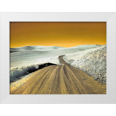 USA-Washington State-Palouse region-Country backroad through wheat fields White Modern Wood Framed Art Print by Eggers, Terry
