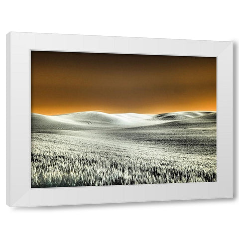 USA-Washington State-Palouse region-Rolling Hills of wheat White Modern Wood Framed Art Print by Eggers, Terry