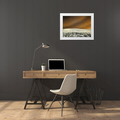 USA-Washington State-Palouse region-Rolling Hills of wheat White Modern Wood Framed Art Print by Eggers, Terry