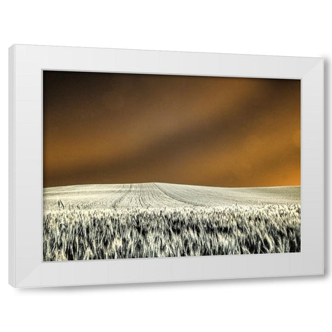 USA-Washington State-Palouse region-Rolling Hills of wheat White Modern Wood Framed Art Print by Eggers, Terry