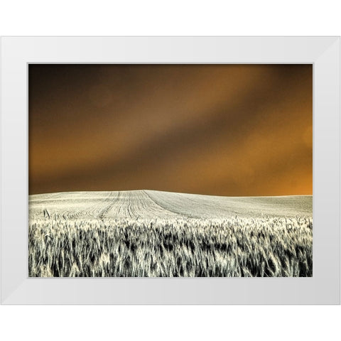 USA-Washington State-Palouse region-Rolling Hills of wheat White Modern Wood Framed Art Print by Eggers, Terry