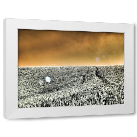 USA-Washington State-Palouse region-Rolling Hills of wheat White Modern Wood Framed Art Print by Eggers, Terry