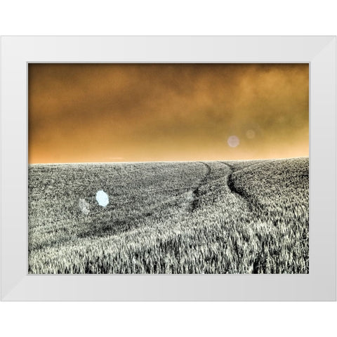 USA-Washington State-Palouse region-Rolling Hills of wheat White Modern Wood Framed Art Print by Eggers, Terry