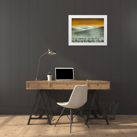 USA-Washington State-Palouse region-Rolling Hills of wheat White Modern Wood Framed Art Print by Eggers, Terry
