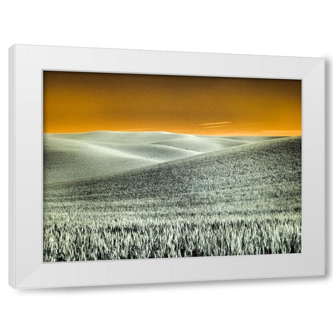 USA-Washington State-Palouse region-Rolling Hills of wheat White Modern Wood Framed Art Print by Eggers, Terry