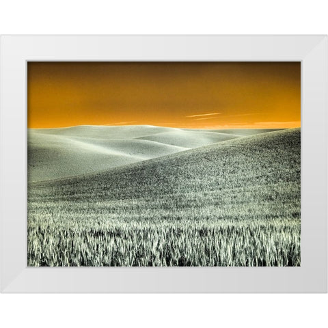 USA-Washington State-Palouse region-Rolling Hills of wheat White Modern Wood Framed Art Print by Eggers, Terry