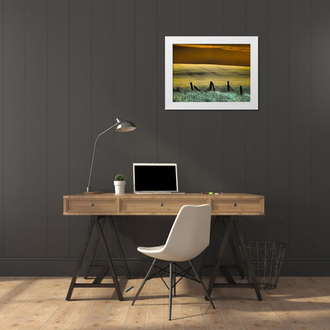 USA-Washington State-Palouse region-Fence and field of wheat White Modern Wood Framed Art Print by Eggers, Terry