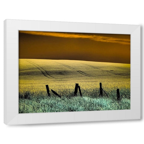 USA-Washington State-Palouse region-Fence and field of wheat White Modern Wood Framed Art Print by Eggers, Terry