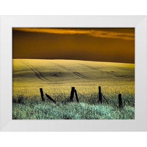USA-Washington State-Palouse region-Fence and field of wheat White Modern Wood Framed Art Print by Eggers, Terry