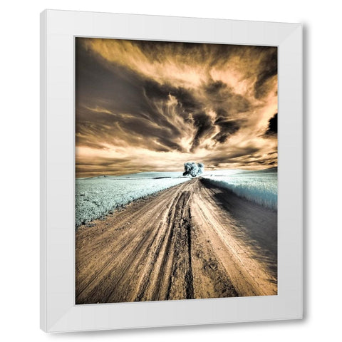 USA-Washington State-Palouse region-Backcountry road leading to Lone Tree White Modern Wood Framed Art Print by Eggers, Terry