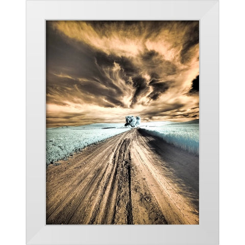 USA-Washington State-Palouse region-Backcountry road leading to Lone Tree White Modern Wood Framed Art Print by Eggers, Terry