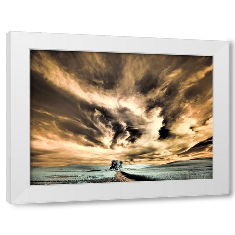 USA-Washington State-Palouse region-Backcountry road leading to Lone Tree White Modern Wood Framed Art Print by Eggers, Terry