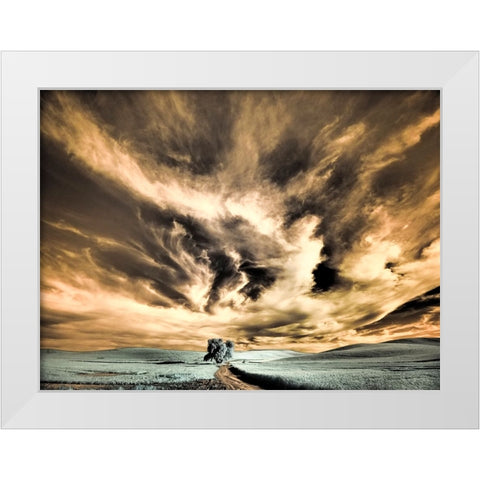 USA-Washington State-Palouse region-Backcountry road leading to Lone Tree White Modern Wood Framed Art Print by Eggers, Terry