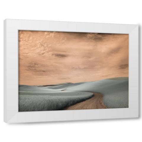 USA-Washington State-Palouse region-winding backcountry road through wheat fields White Modern Wood Framed Art Print by Eggers, Terry