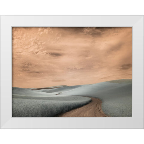 USA-Washington State-Palouse region-winding backcountry road through wheat fields White Modern Wood Framed Art Print by Eggers, Terry
