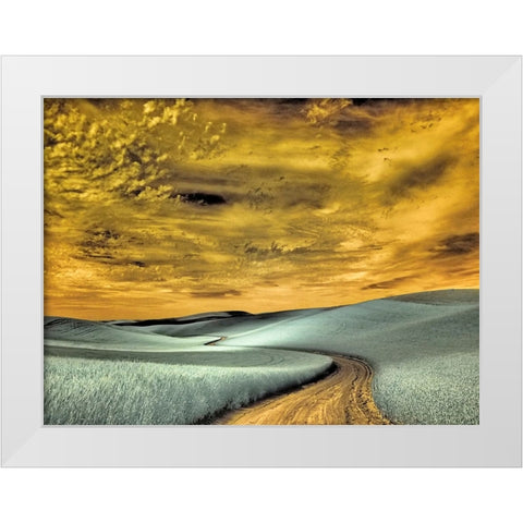 USA-Washington State-Palouse region-winding backcountry road through wheat fields White Modern Wood Framed Art Print by Eggers, Terry