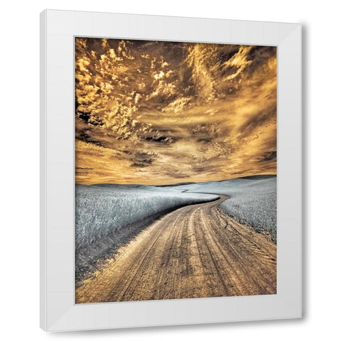 USA-Washington State-Palouse region-winding backcountry road through wheat fields White Modern Wood Framed Art Print by Eggers, Terry