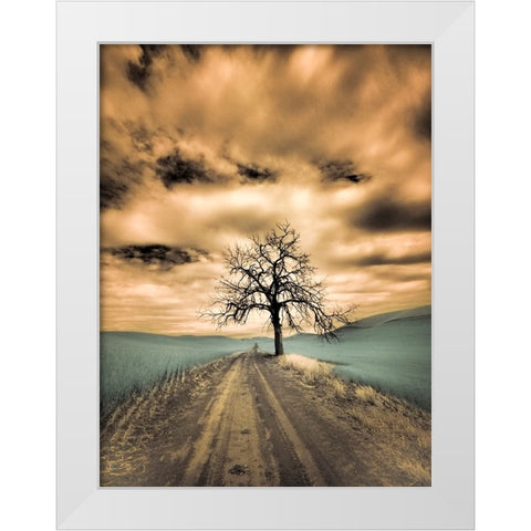 USA-Washington State-Palouse Infrared of lone tree along side country road White Modern Wood Framed Art Print by Eggers, Terry