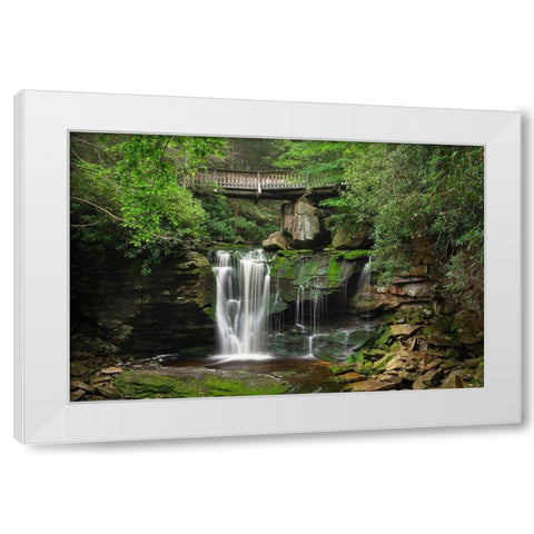 First or Upper Ekalaka Falls-Blackwater Falls State Park-West Virginia White Modern Wood Framed Art Print by Majchrowicz, Alan