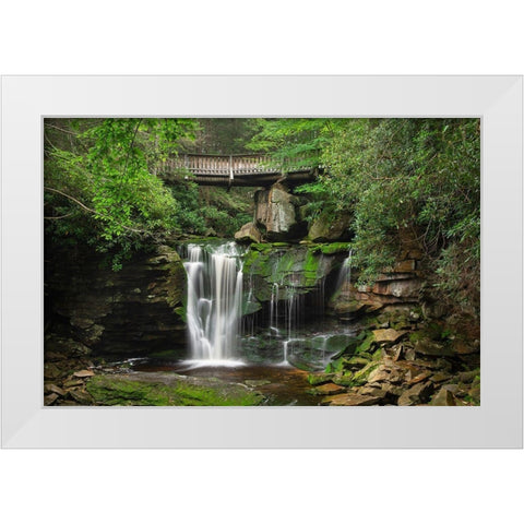 First or Upper Ekalaka Falls-Blackwater Falls State Park-West Virginia White Modern Wood Framed Art Print by Majchrowicz, Alan