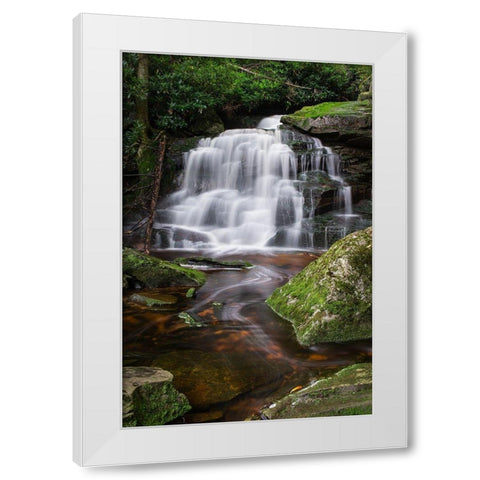 Second Ekalaka Falls-Blackwater Falls State Park-West Virginia White Modern Wood Framed Art Print by Majchrowicz, Alan