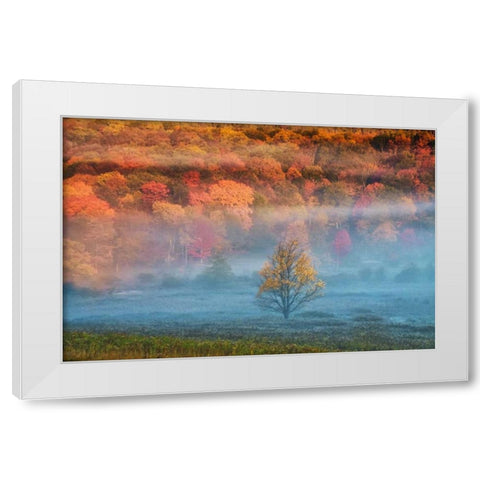 WV, Davis Misty valley and forest in Autumn White Modern Wood Framed Art Print by OBrien, Jay