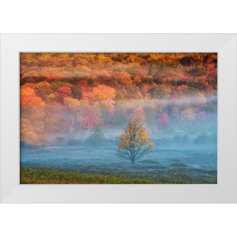 WV, Davis Misty valley and forest in Autumn White Modern Wood Framed Art Print by OBrien, Jay
