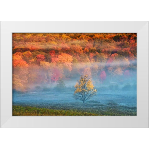 WV, Davis Mist and forest in autumn color White Modern Wood Framed Art Print by OBrien, Jay
