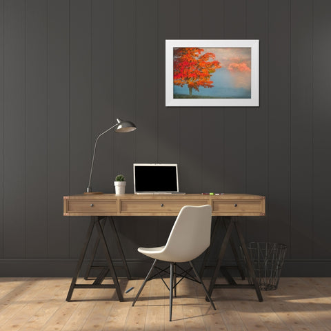 WV, Davis Mist and forest in autumn color White Modern Wood Framed Art Print by OBrien, Jay