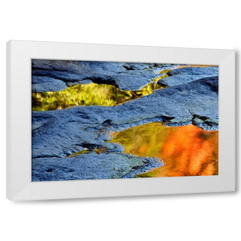 WV, Blackwater Falls SP Autumn reflections White Modern Wood Framed Art Print by OBrien, Jay