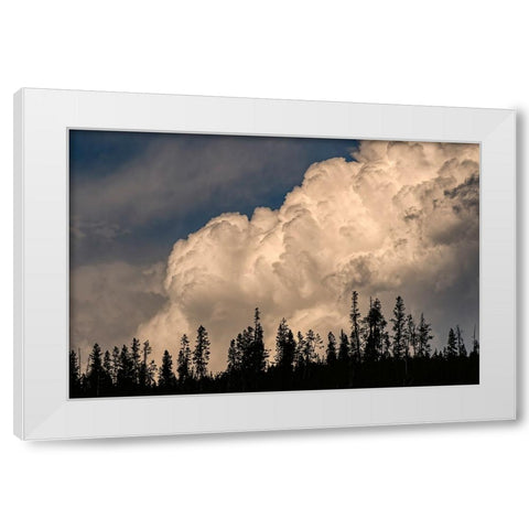 Trees silhouetted against cumulus cloud-Yellowstone National Park-Wyoming White Modern Wood Framed Art Print by Jones, Adam