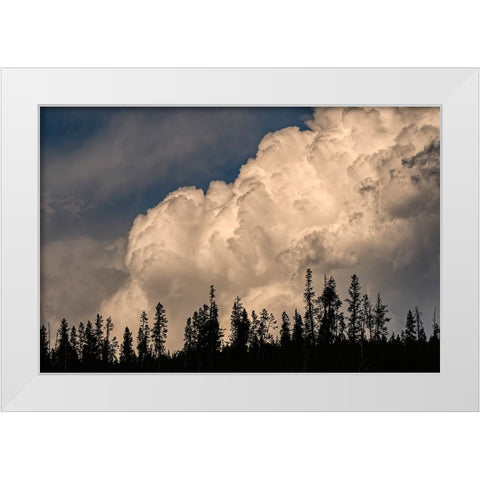 Trees silhouetted against cumulus cloud-Yellowstone National Park-Wyoming White Modern Wood Framed Art Print by Jones, Adam